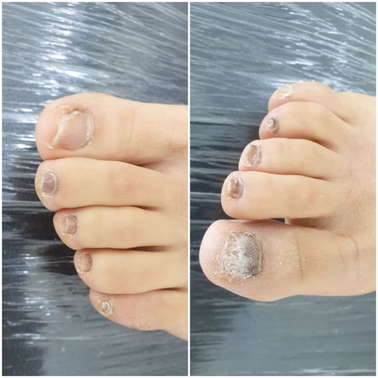 레푸스앤두두뷰티 이미지