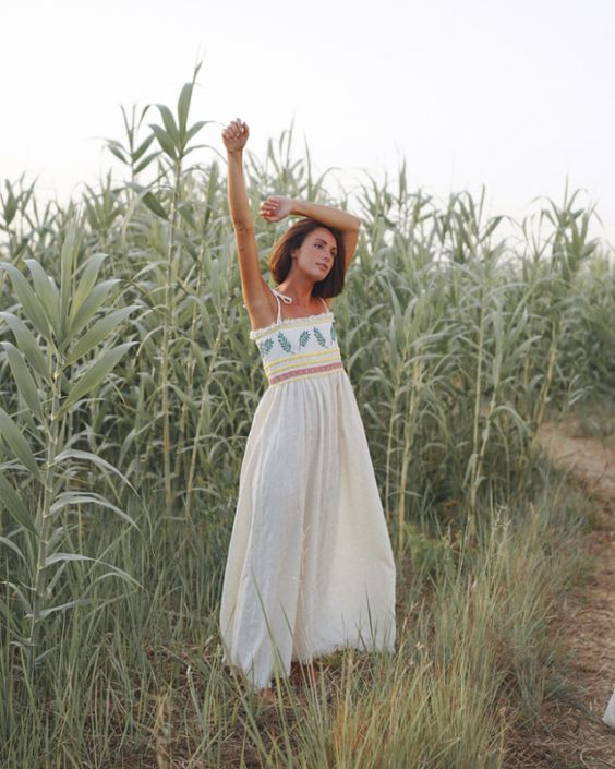 베티버(vetiver) 이미지