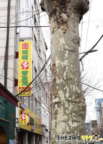 동한양꼬치 이미지