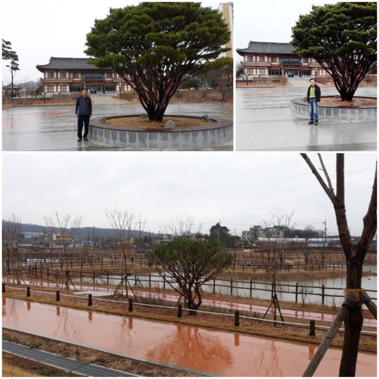 부령회센터 이미지
