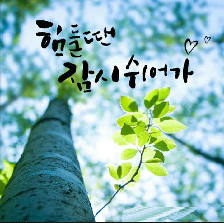 피자엠소마 이미지