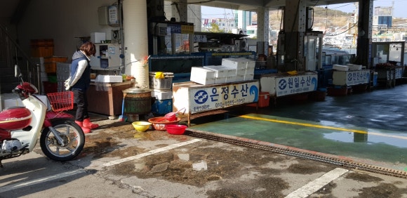 신등대낚시 이미지