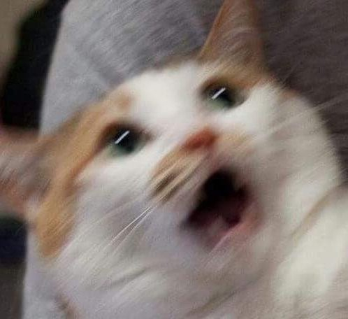 마니또이또 이미지