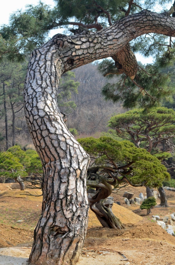 명장홍종흔 이미지