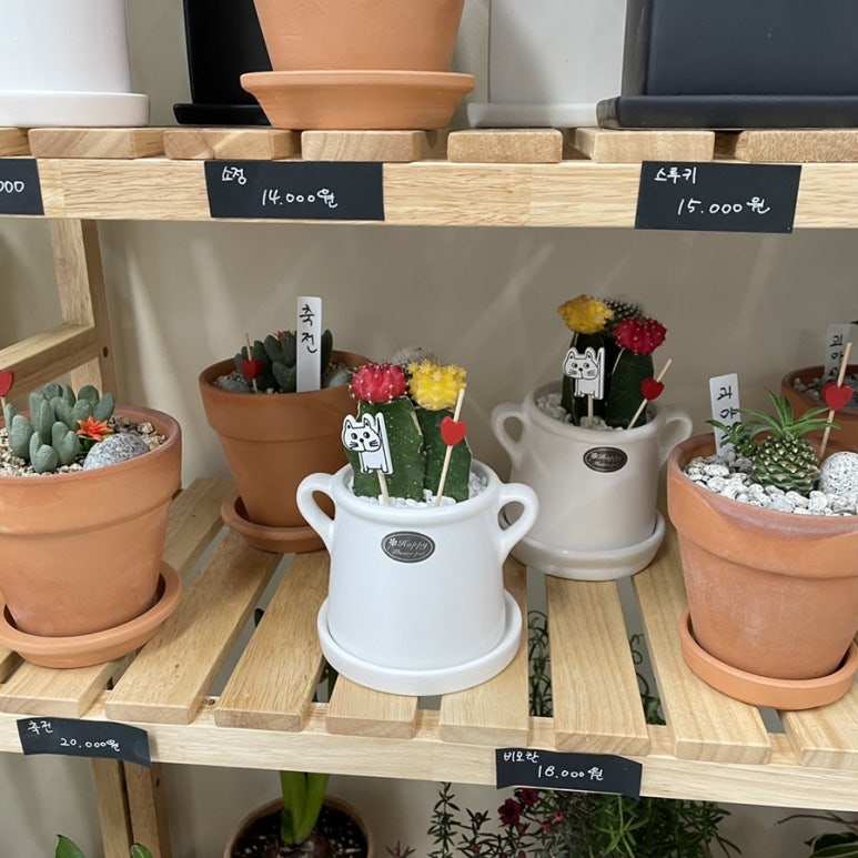 민지네꽃집 이미지