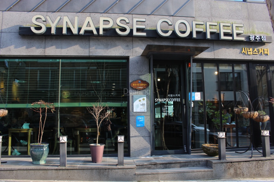 시냅스커피 이미지