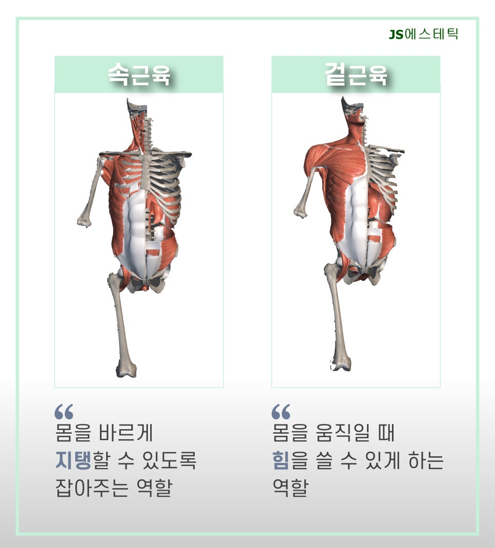 JS케어 이미지