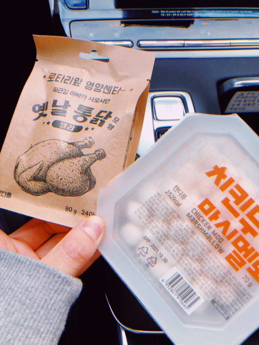꽁쓰 이미지