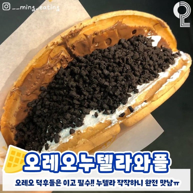 와플대학 이미지