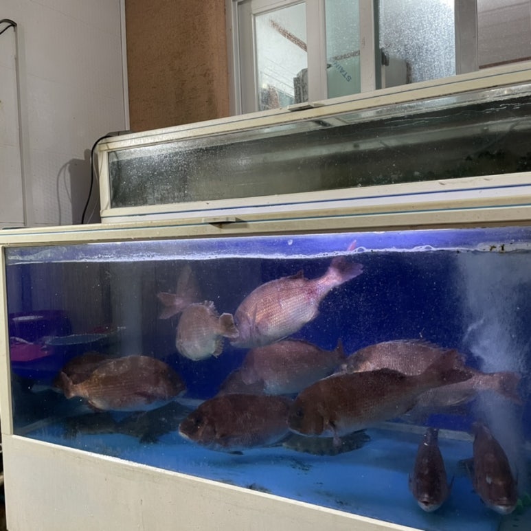 수산문구사 이미지