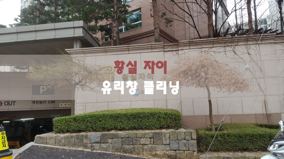자이크리닝 이미지