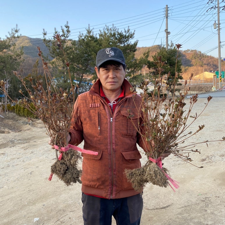 해성꽃농원 이미지