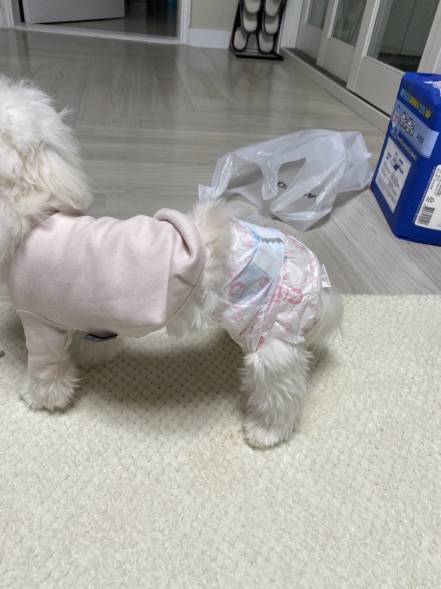 또아 이미지