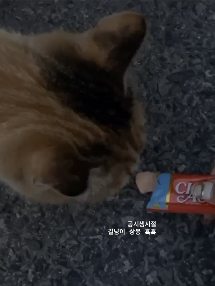 은선상회 이미지
