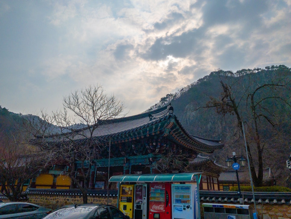 오어사특산물 이미지