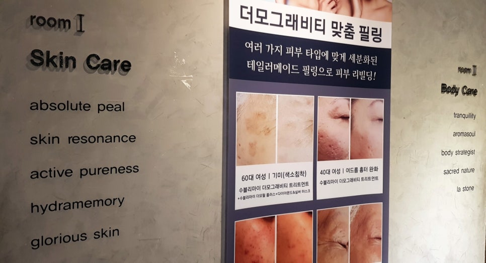 스파인더파리 이미지