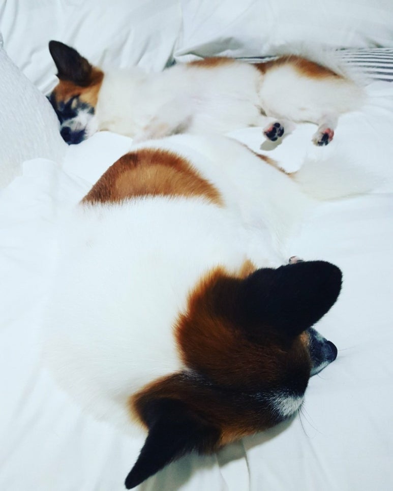 달콤한일상 이미지