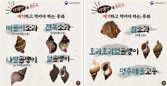 소라걸 이미지