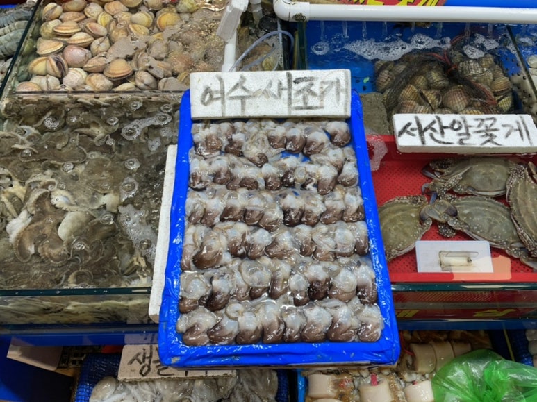 함평상회 이미지