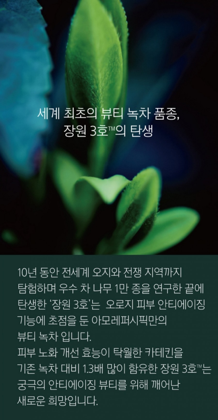 아모레양산 이미지