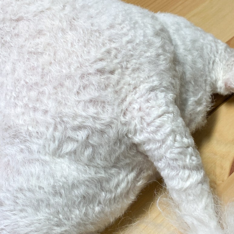 피자스쿨은평뉴타운점 이미지