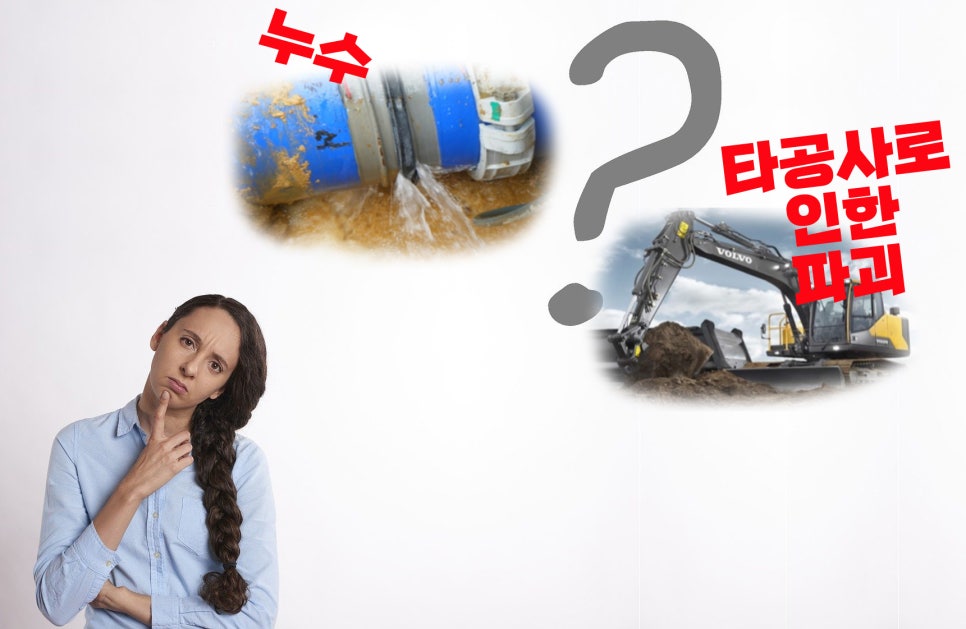 싱크트리 이미지