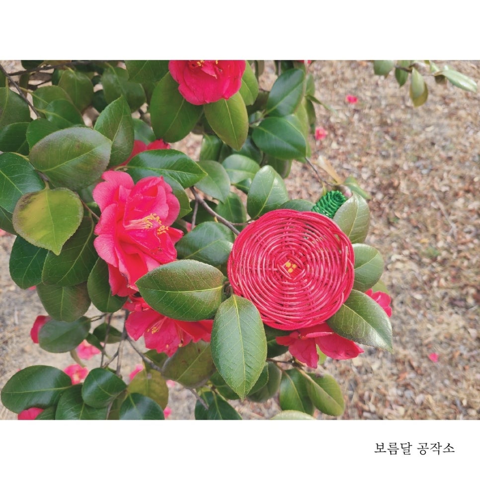 봄을봄/봄을봄공작소 이미지