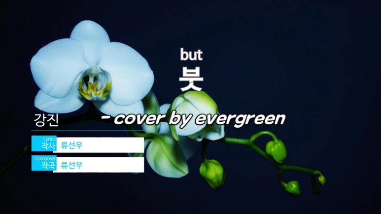 미스트롯노래연습장 이미지