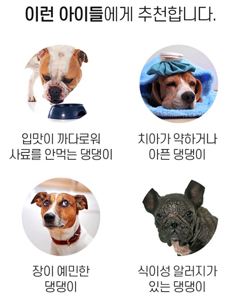 프레쉬365 이미지