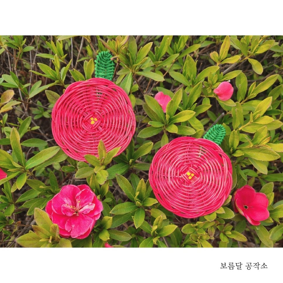 봄을봄/봄을봄공작소 이미지