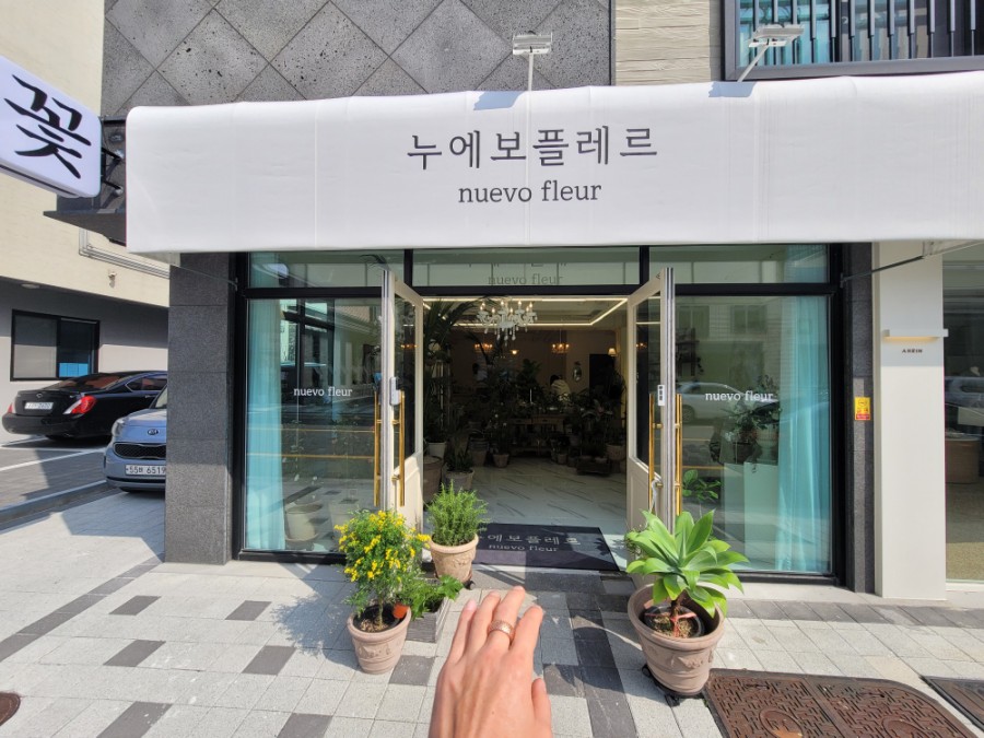누에보플레르 이미지