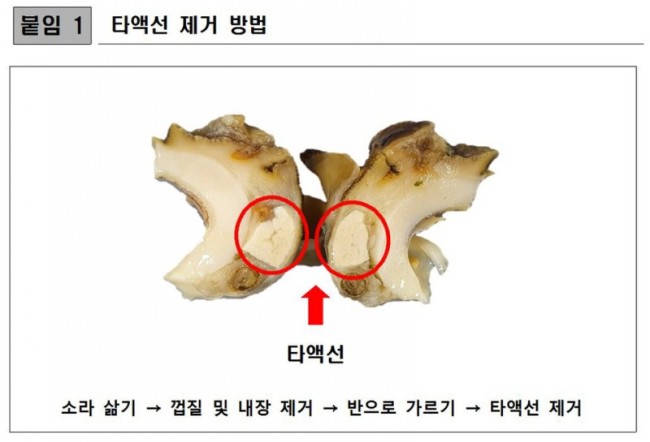 소라걸 이미지