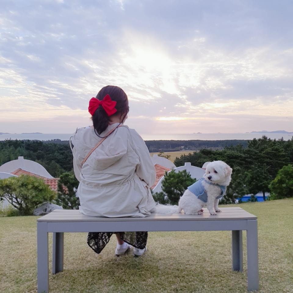 그람피하우스 이미지