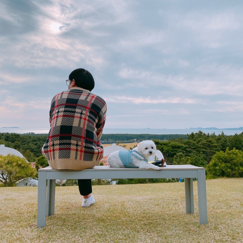 그람피하우스 이미지