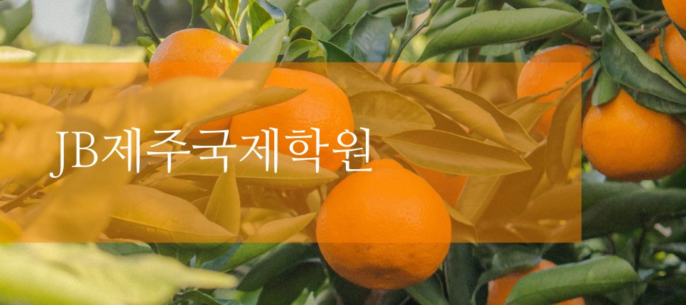 아이비컬리지에잇스쿨 이미지