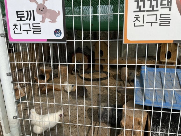 에스글램핑 이미지
