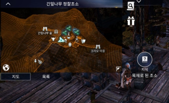 지식나무 이미지