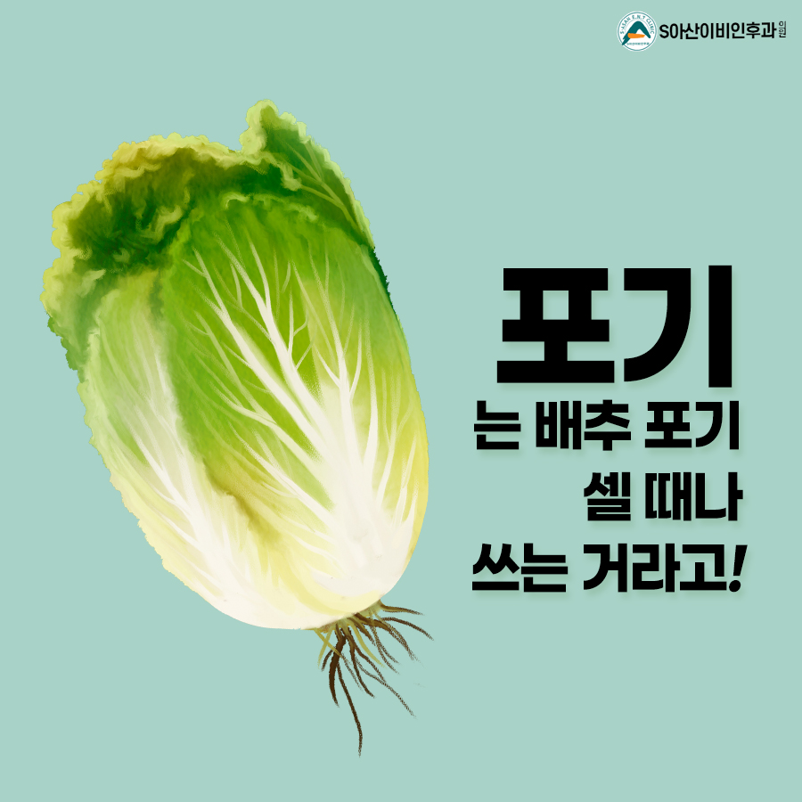 셀시티 이미지