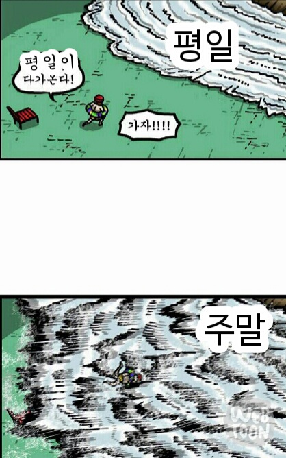 골드드래곤 이미지