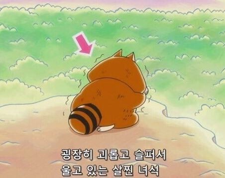 중화정 이미지