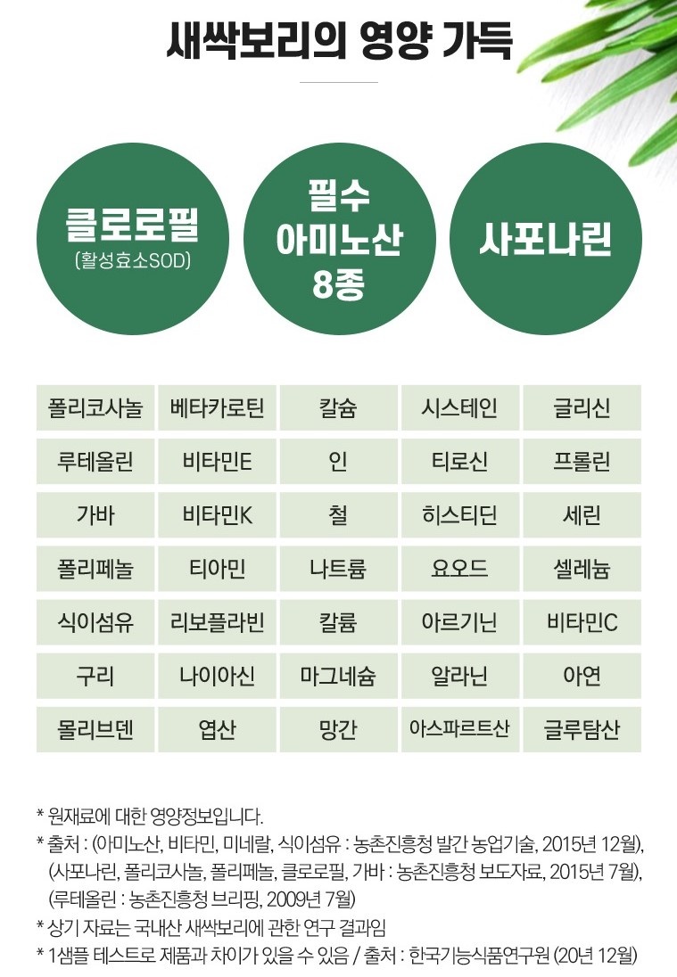 자연새싹 이미지
