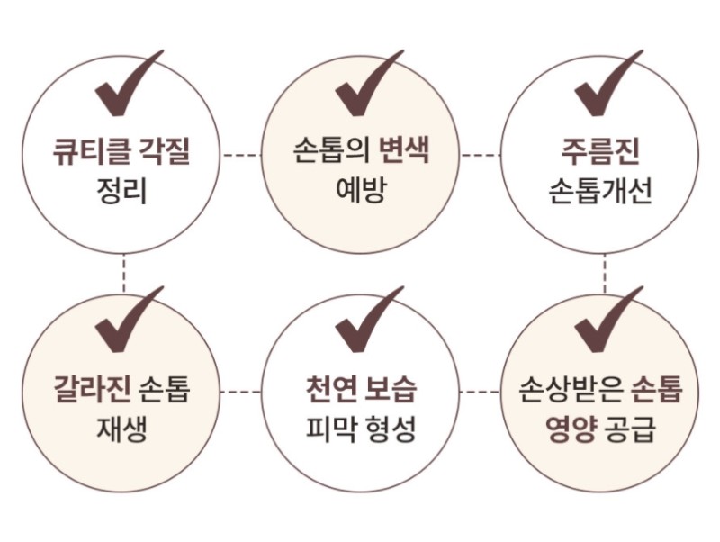 네일조아 이미지