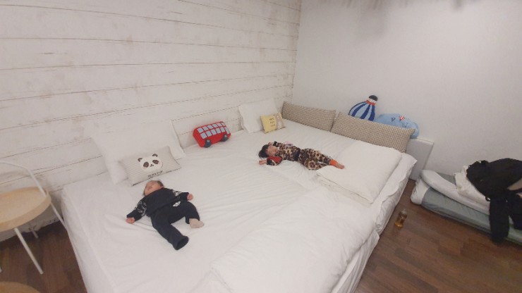 투로맨틱버즈 이미지