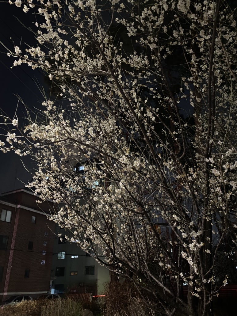 커피바슬슬 이미지