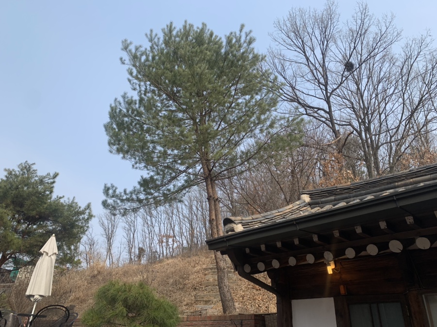 한옥카페소원 이미지