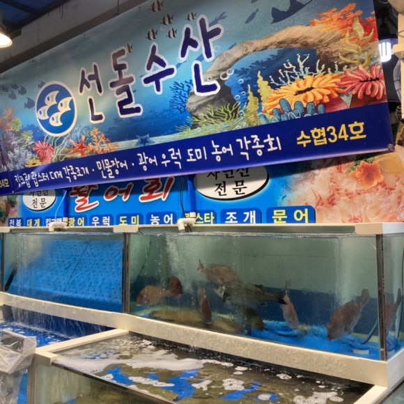 선돌수산 이미지