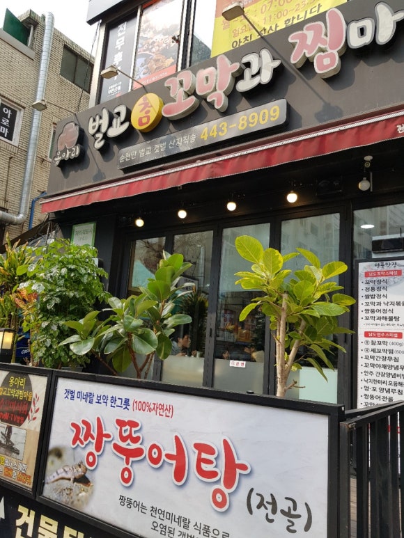 옹아리벌교꼬막과찜마을 이미지