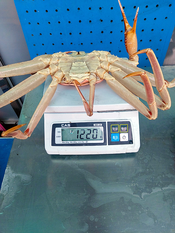 오창횟집 이미지