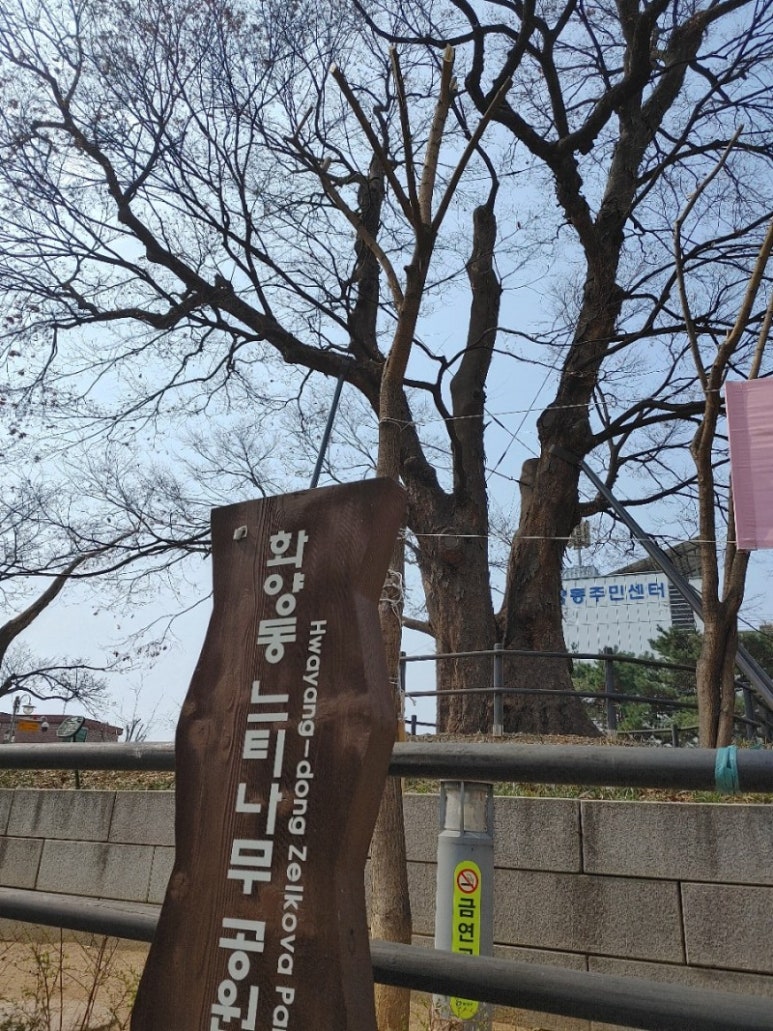 화양정 이미지