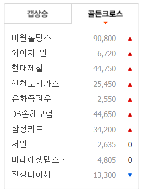 와이지홀딩스 이미지